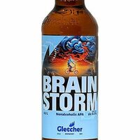 Gletcher Brainstorm Apa в Ketch Up