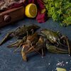 Раки Mix в Раки Мск 24 по цене 9350