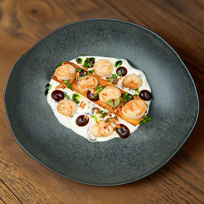 Жареный дальневосточный гребешок с картофельным гратеном и грибами в сливочно-трюфельном соусе в Белок по цене 1690 ₽