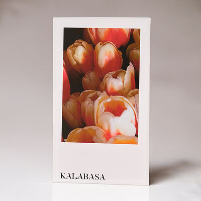 Открытка Тюльпаны в Kalabasa по цене 65 ₽