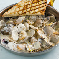 Вонголе в Терраса