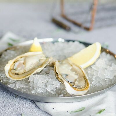 Дюжина свежих устриц в Пряности & Радости на Васильевском по цене 4999