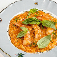 Ризотто со сладкой креветкой в Muse