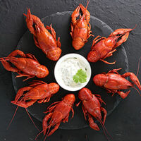 Логотип Раки Кусаки