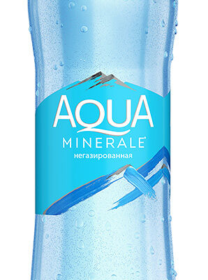 Вода Aqua Minerale негазированная в Легендарная Шаверма на Соборной по цене 90 ₽