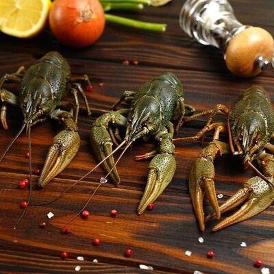 Раки L средние в ВКУСНАЯ ТОЧКА по цене 7760 ₽