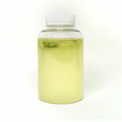 Домашний огуречный лимонад в Бар Пиф-Паф по цене 330 ₽