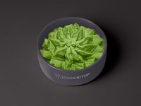 Васаби в СушиСтор