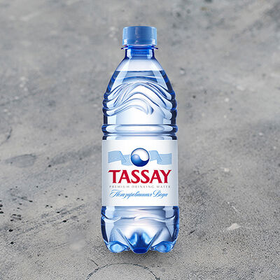 Tassay 500 мл с газом в Кофе Хауз по цене 290 ₽