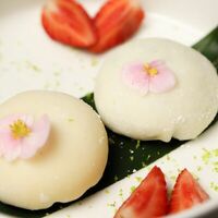 Сет Моти в More More