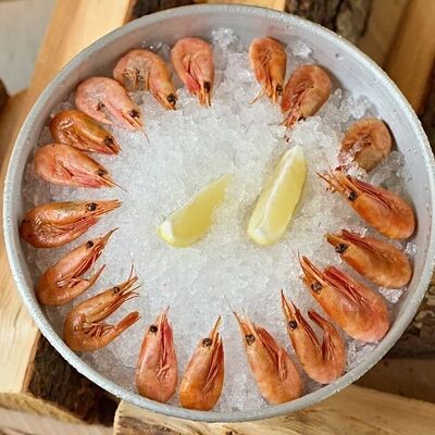 Северная креветка х/к в Сибирь по цене 540 ₽