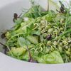 Зелёный салат в Траттория для друзей по цене 430