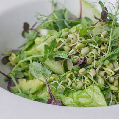 Зелёный салат в Траттория для друзей по цене 430 ₽
