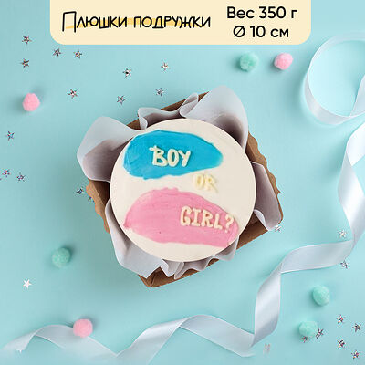 Бенто-торт мальчик или девочка? 350 г в Плюшки подружки по цене 1440 ₽