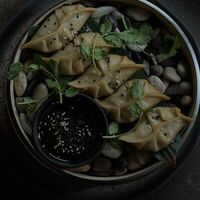 Гёдза с лосось и морской окунь в Voodoo bar