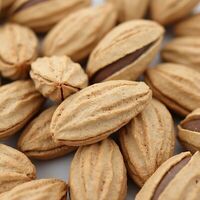 Миндаль бумажный в ПоЛюбви