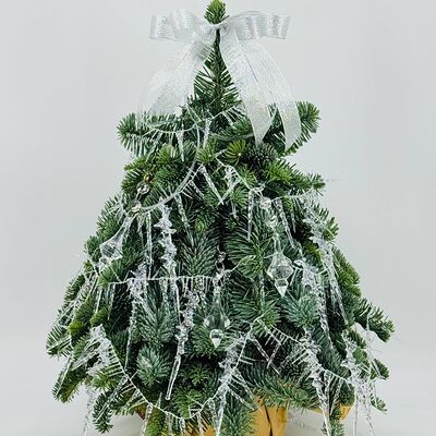 Авторская живая ёлка Нобилис с бусами и сосульками в Дарите красиво по цене 10490 ₽