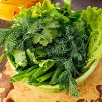 Ассорти ароматных трав в Ресторан Бигджо