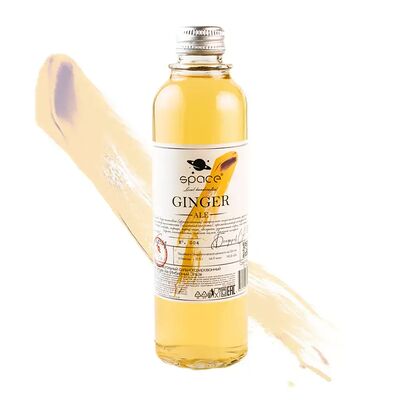 Space Ginger Ale 0,25л в EDOO Rolls & Pizza по цене 250 ₽