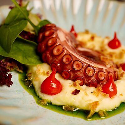 Марокканский Осьминог с картофелем в Gaudi по цене 2880 ₽