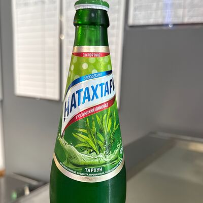 Грузинский лимонад Натахтари Тархун в Мясо на мангале по цене 200 ₽