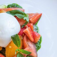 Буррата с томатами и соусом песто в Gino Cafe