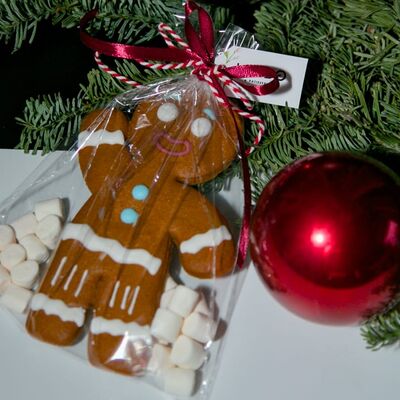 Пряничный человечек в Luna по цене 250 ₽