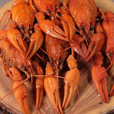 Рак отборный вареный в Раки Кусаки по цене 5250 ₽