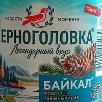 Черноголовка Байкал в Очаг шашлычный рай