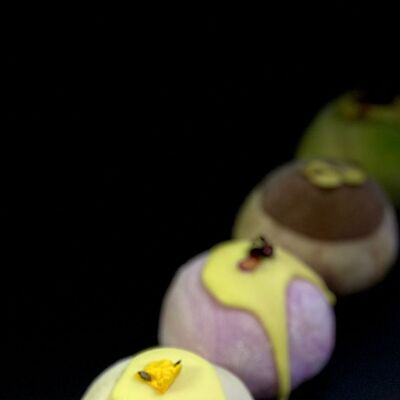 Моти в Borzalino по цене 459 ₽