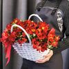 Пёстрая в FLORISTICA по цене 4250