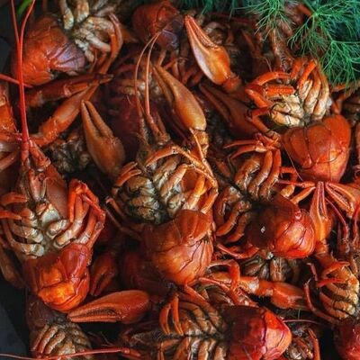 Раки отварные микс в Морераков по цене 7800 ₽