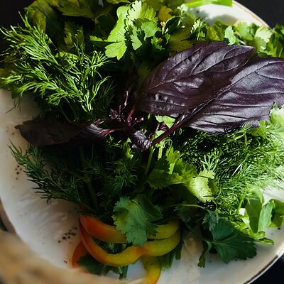 Свежая зеленьв Тбилисио по цене 460 ₽