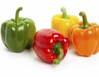 Болгарский перец в Чентуриппе