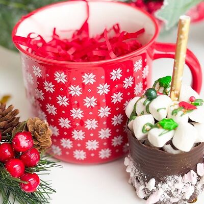 Шоколадная бомбочка и кружка №2 в Tortterry по цене 950