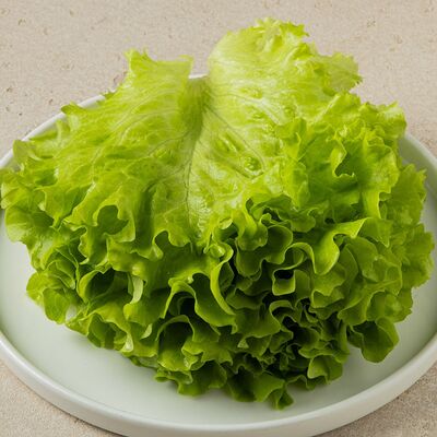 Листья салата в Кореана по цене 160 ₽