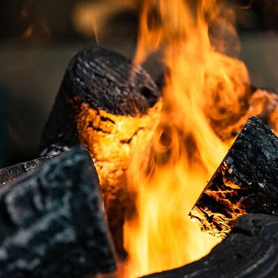 Уголь в Одно мясо по цене 1200 ₽