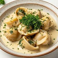 Черноморские рапаны в Ракушка