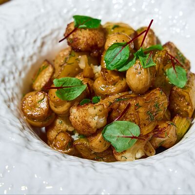 Салат с жареными грибами цветной капустой и баклажанами в Алазани по цене 3500 ₸