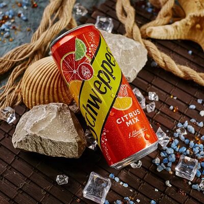 Schweppes Citrus mix в Акула вкуса по цене 179 ₽