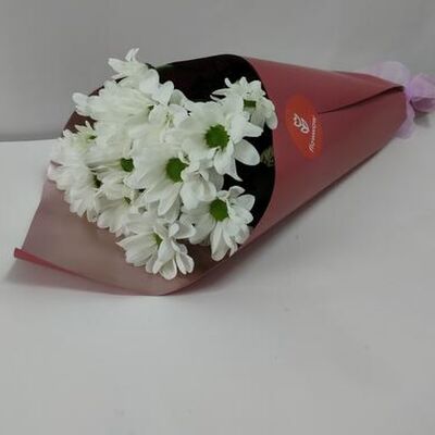 Хризантема белая Ромашковая, букет 3 веткив Доставляем радость на дом! по цене 1855 ₽