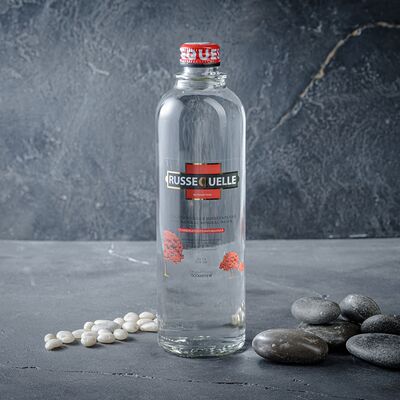 RusseQuelle в Encore Cafe по цене 360 ₽