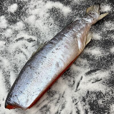 Форель слабо/сол вяленаяв РакБери по цене 3500 ₽