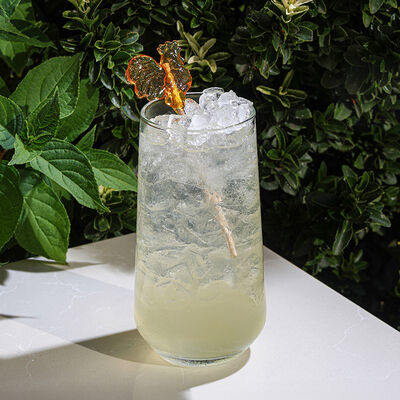 Лимонад Экстра-ситров Юность у моря по цене 470 ₽