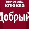 Морс Добрый из винограда и клюквыв Пипони по цене 300