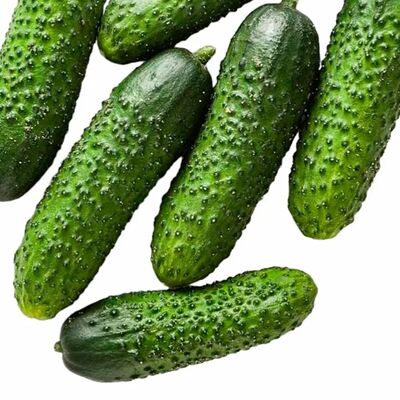 Огурец свежий в Кофе и Вафли по цене 60 ₽