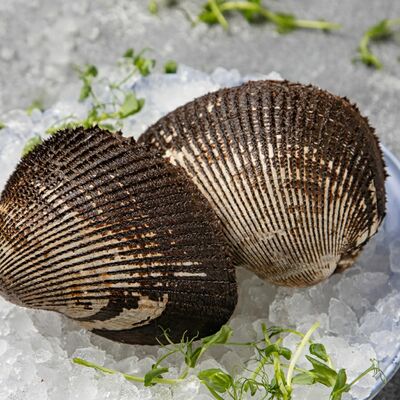 Анадара в Раковарня Красный рак по цене 310 ₽