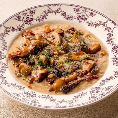 Ризотто с белыми грибами в Чиполучо по цене 590