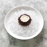 Морской еж с муссом из пармезана в GASTROFISH