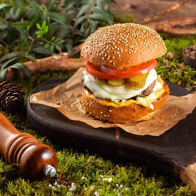 Чизбургер в Ботаника по цене 630